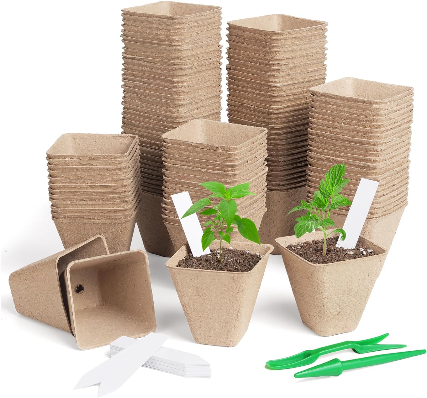 Biodegradable seed starter pots set