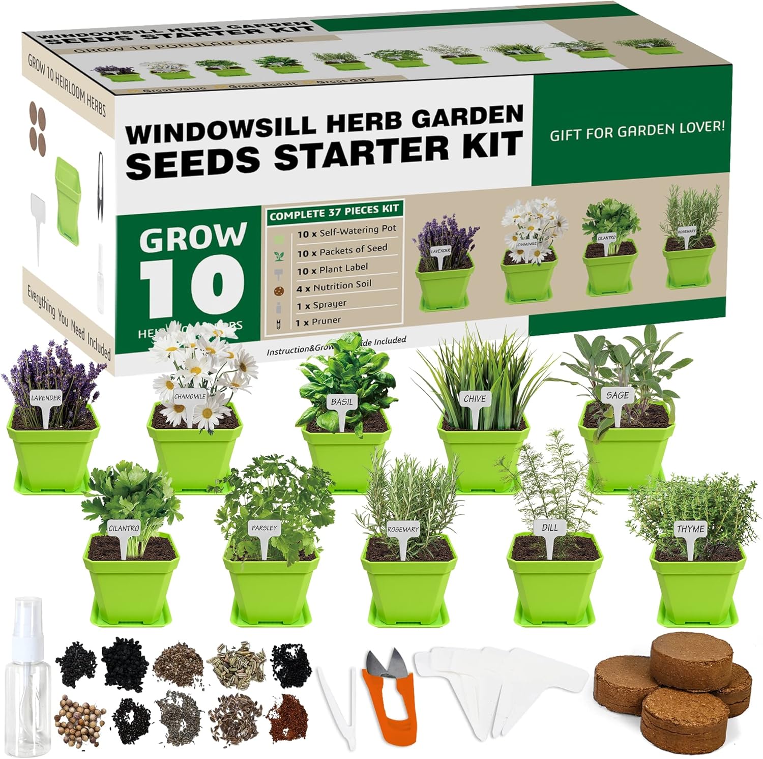 Windowsill herb garden starter kit with multiple herbs